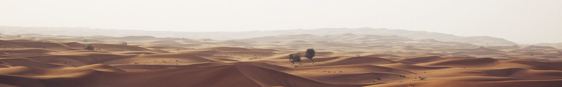 ǰƽ޹˾
